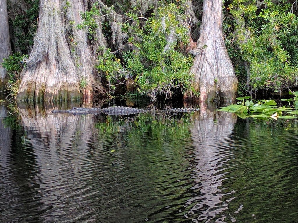 Across Georgia – Atlanta to the Okefenokee Swamp – The Destinators