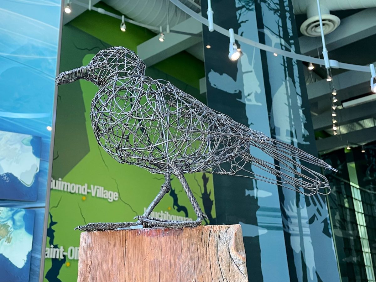 Kouchibouguac National Park – The Destinators